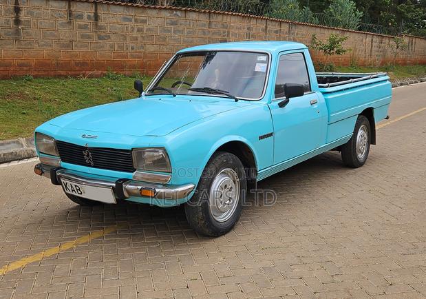 Peugeot 504 1990 Blue