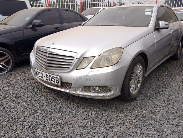 Mercedes-Benz 300E 2009 Gray