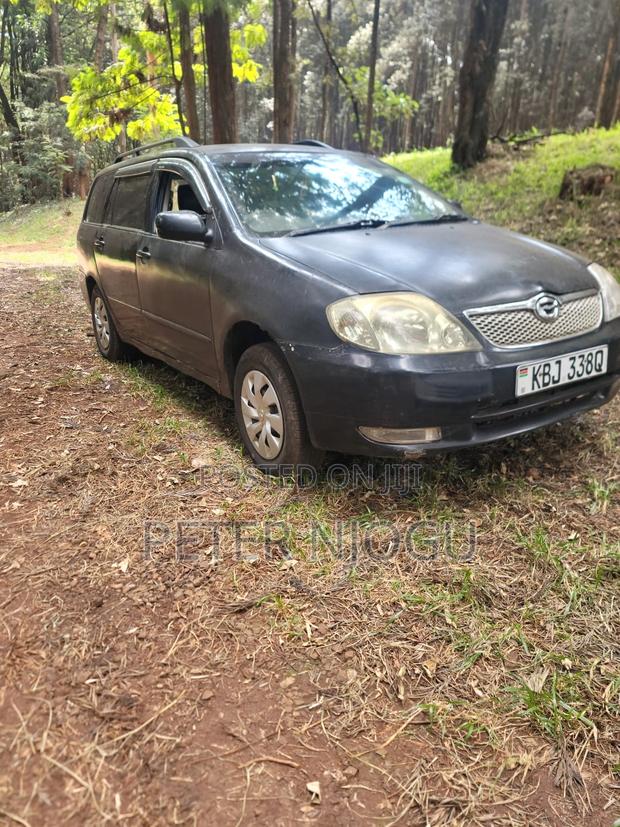 Toyota Corolla Fielder 2004 Black