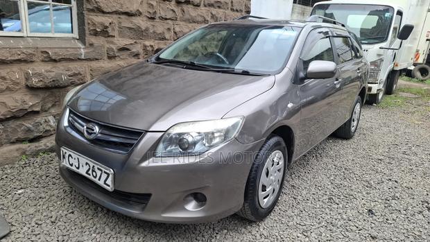 Toyota Corolla Fielder 2009 Gray