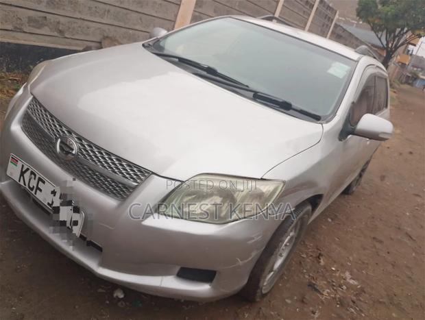 Toyota Corolla Fielder 2009 Silver