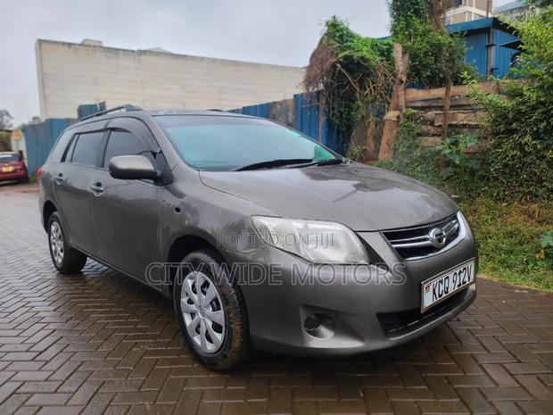 Toyota Corolla Fielder 2011 Gray