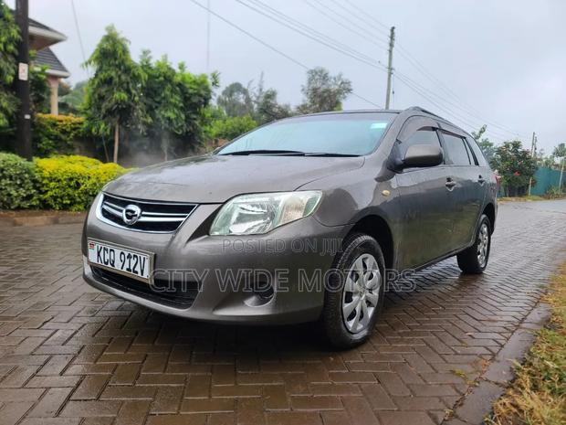 Toyota Corolla Fielder 2011 Gray