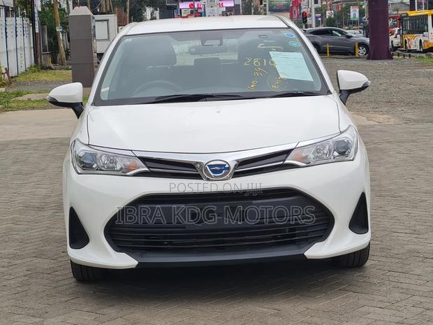 Toyota Corolla Fielder 2019 White
