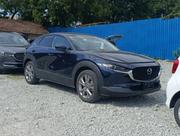Mazda CX-30 2019 Blue for sale