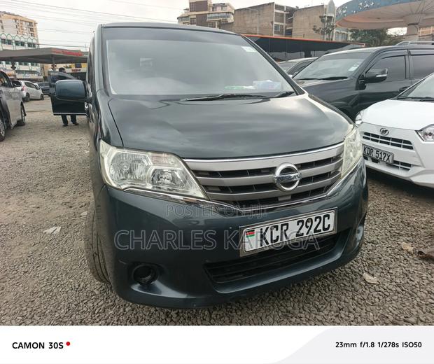 Nissan Serena 2010 Blue