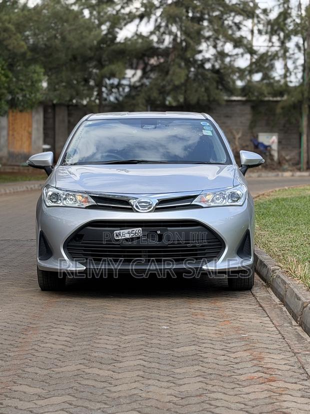 Toyota Corolla Fielder 2019 Silver