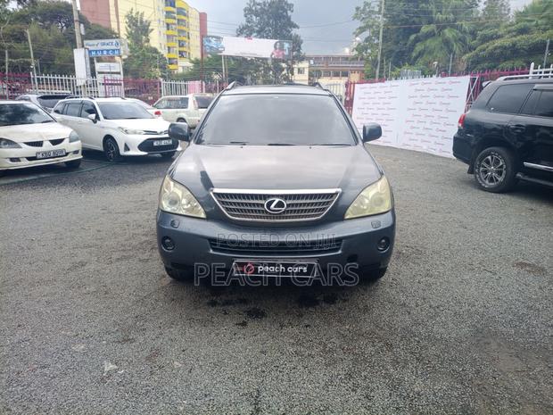 Lexus RX 2005 Gray