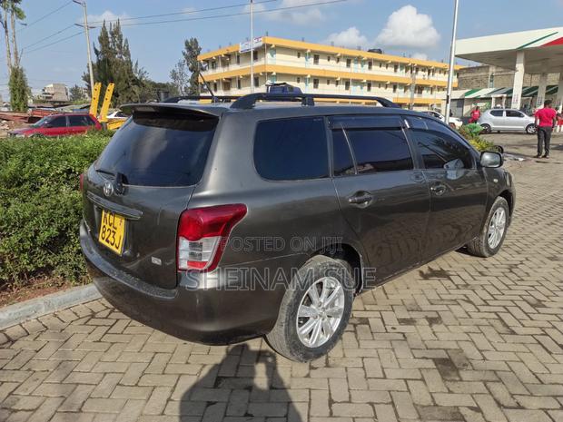 Toyota Corolla Fielder 2009 Gray