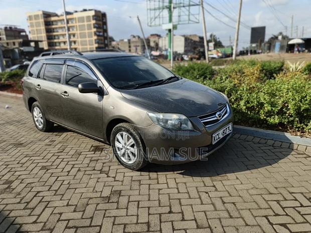 Toyota Corolla Fielder 2009 Gray