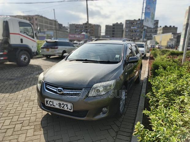 Toyota Corolla Fielder 2009 Gray
