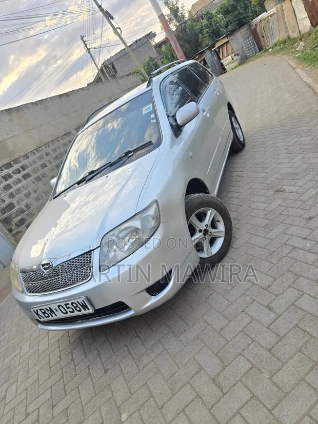 Toyota Corolla Fielder 2005 Silver
