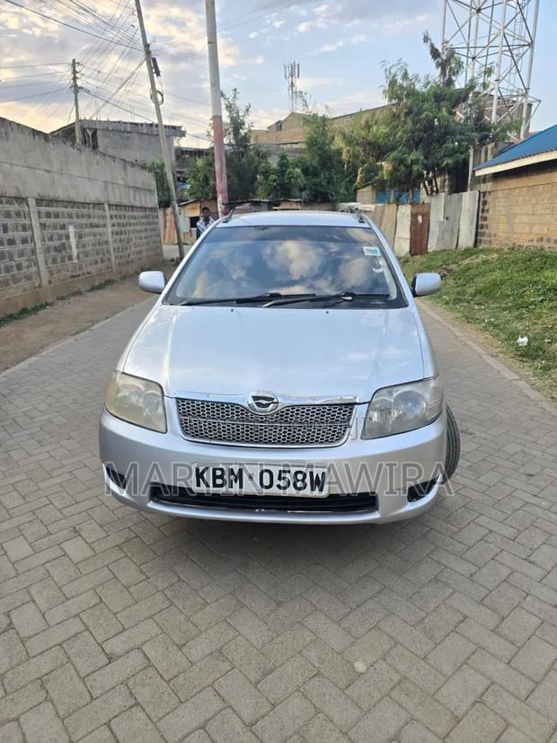 Toyota Corolla Fielder 2005 Silver