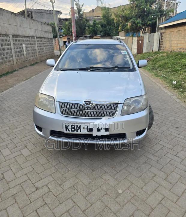 Toyota Corolla Fielder 2006 Silver