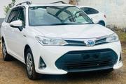 Toyota Corolla Fielder 2019 White for sale