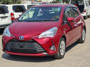 Toyota Vitz 2019 Red for sale