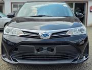 Toyota Axio 2019 Black for sale