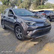 Toyota RAV4 2019 Gray for sale