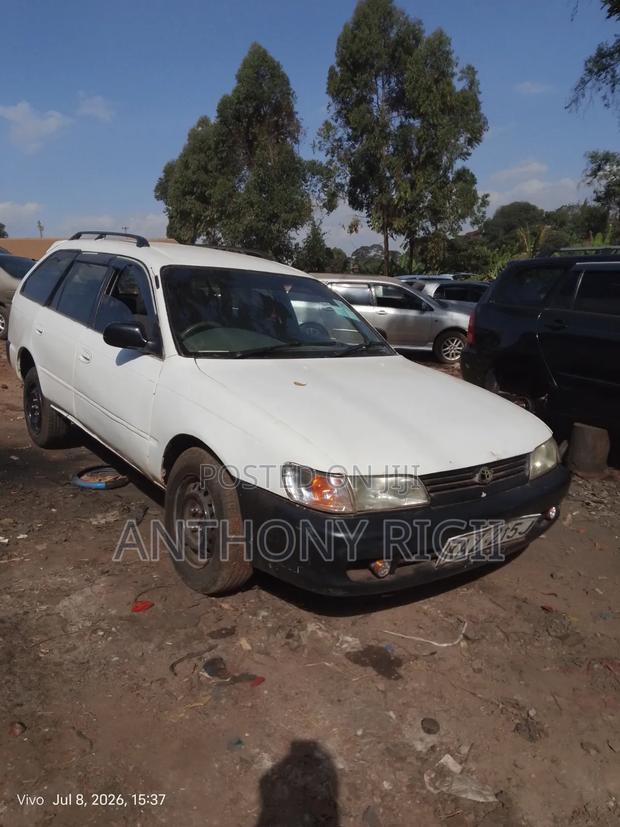 Toyota Corolla Hatchback 1999 White