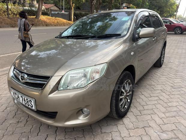 Toyota Corolla Fielder 2008 Gold