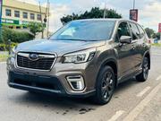 Subaru Forester 2019 Beige for sale