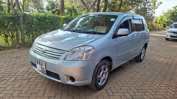 Toyota Raum 2006 Gray