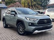 Toyota RAV4 Adventure 2019 Green for sale