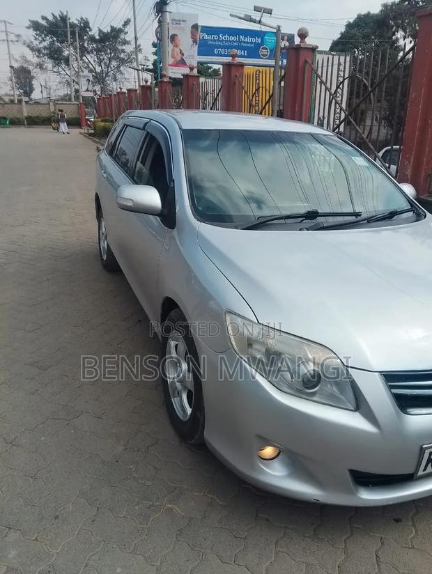 Toyota Corolla Fielder 2009 Gray