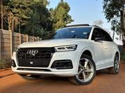 Audi Q5 2.0T Premium AWD quattro 2019 White for sale