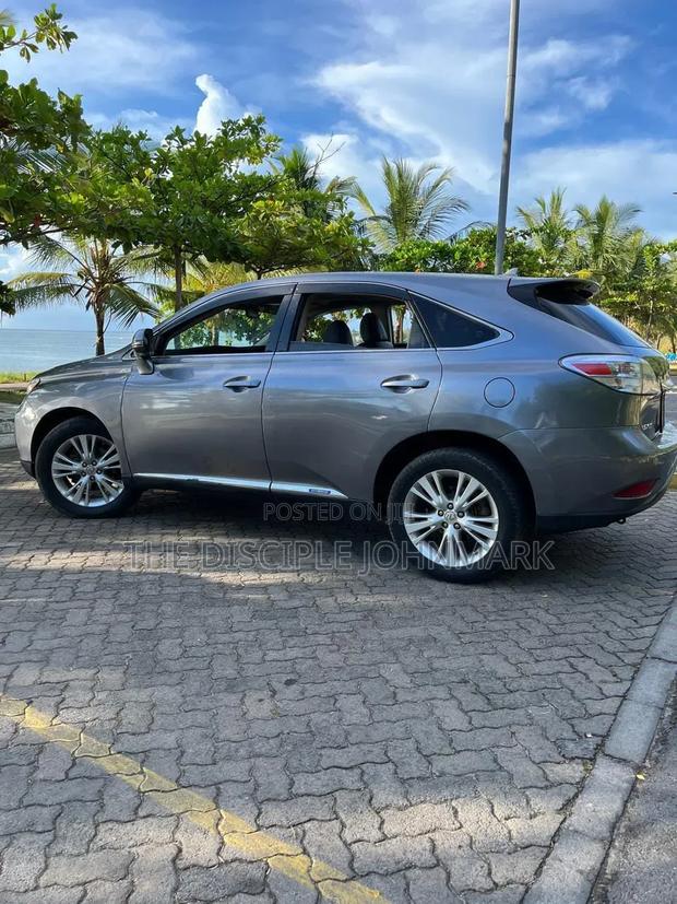 Lexus RX 2011 Gray