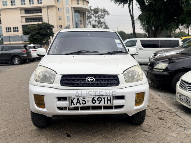 Toyota RAV4 2002 White