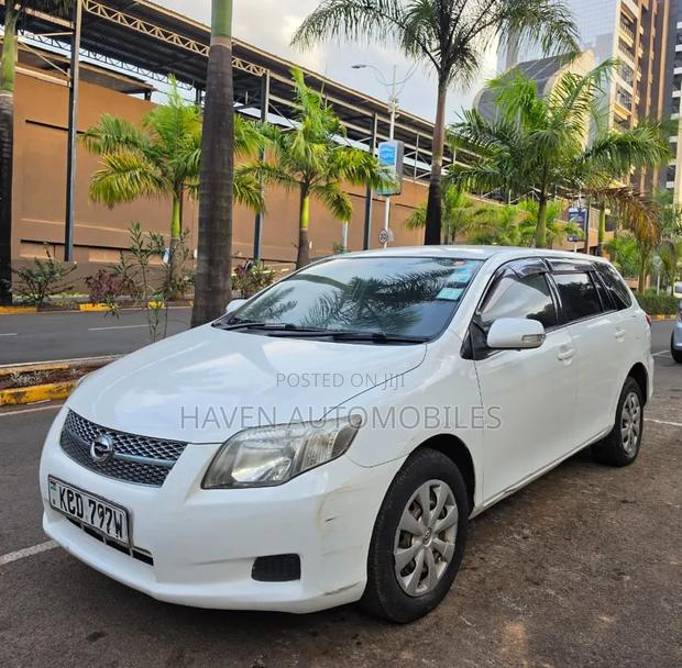 Toyota Corolla Fielder 2009 White