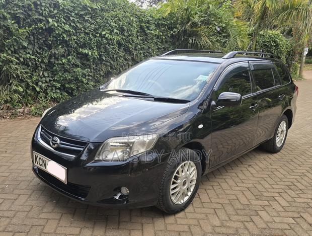 Toyota Corolla Fielder 2010 Black