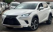 Lexus NX 2017 White for sale