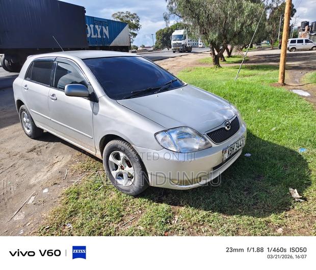 Toyota Allex 2005 Silver