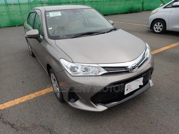 Toyota Axio 2019 Gray