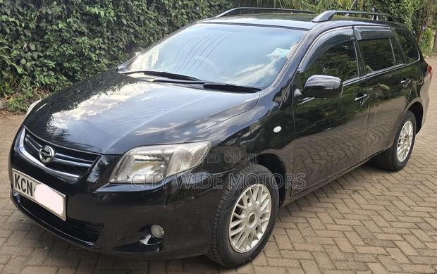 Toyota Corolla Fielder 2010 Black