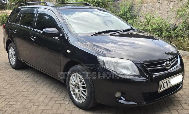 Toyota Corolla Fielder 2010 Black