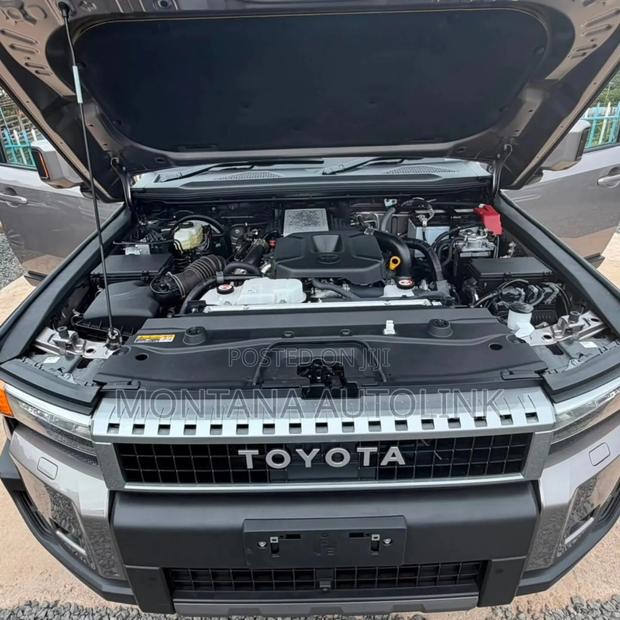 Toyota Land Cruiser LC250 2024 Brown