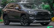 Toyota RAV4 Hybrid 2019 Gray for sale