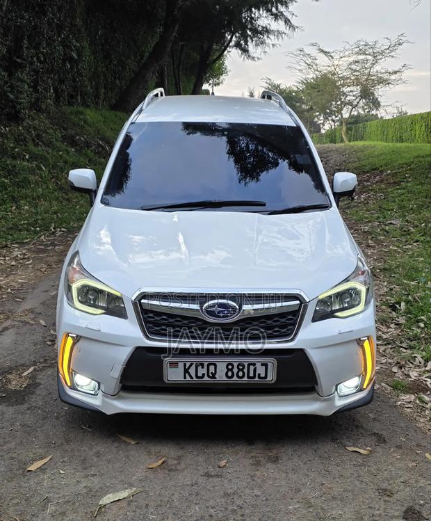 Subaru Forester 2013 Pearl