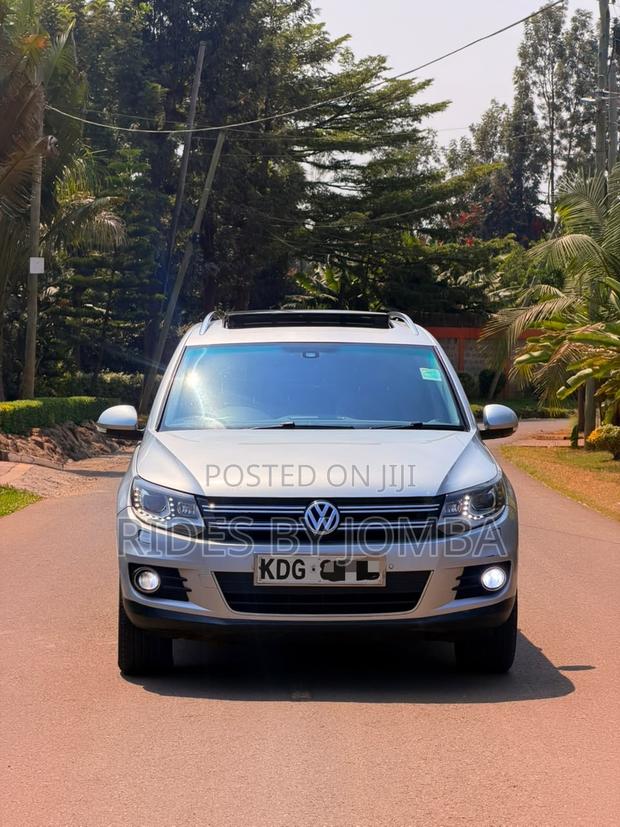 Volkswagen Tiguan 2014 Silver