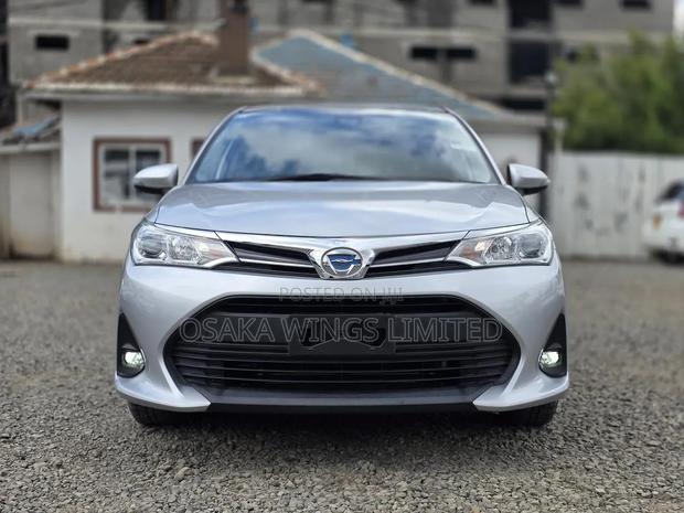 Toyota Corolla Fielder 2019