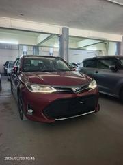 Toyota Axio 2019 Maroon for sale