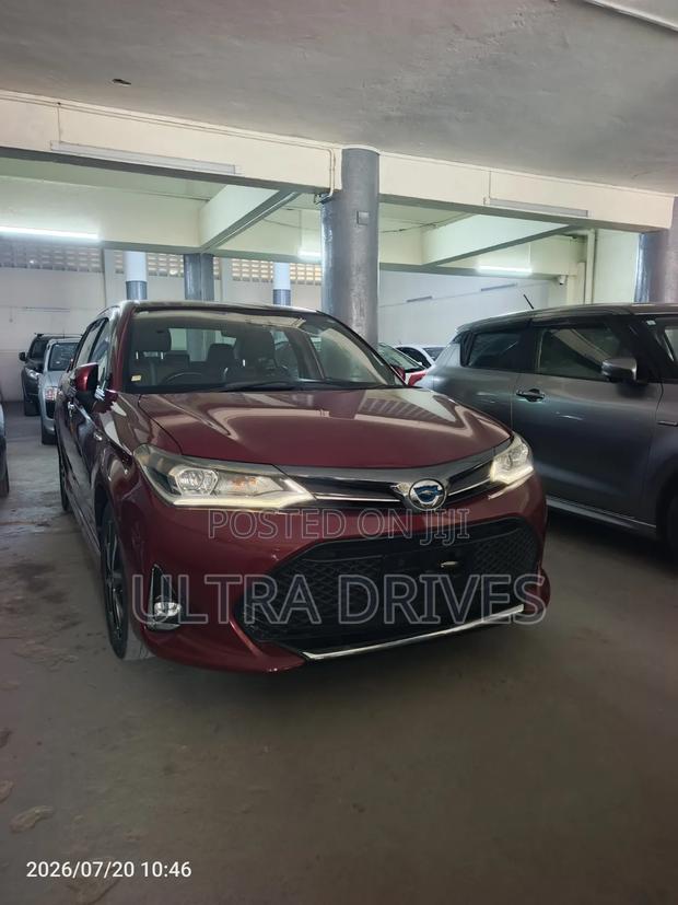 Toyota Axio 2019 Maroon