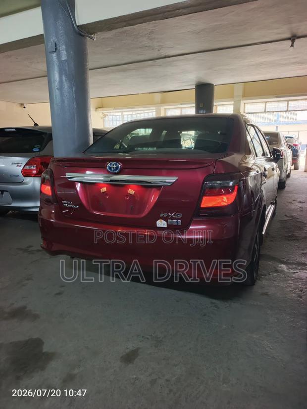 Toyota Axio 2019 Maroon