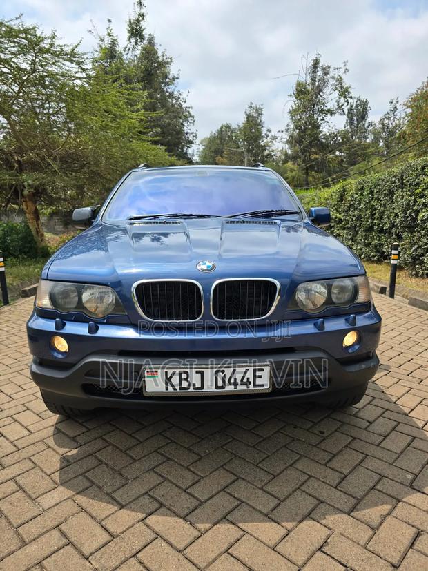 BMW X5 2003 Blue