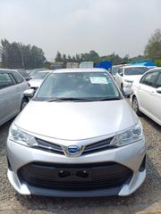 Toyota Axio 2019 Gray for sale