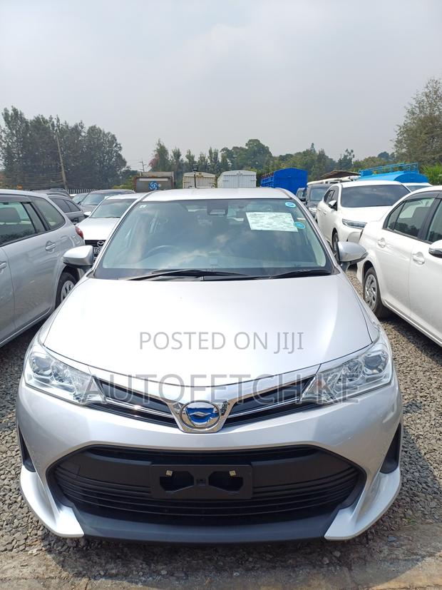 Toyota Axio 2019 Gray