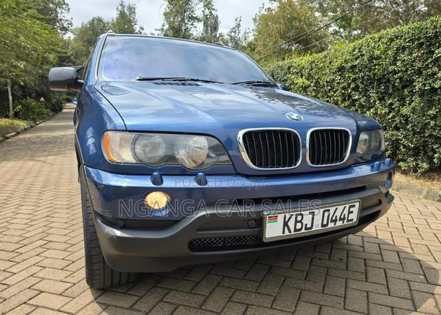 BMW X5 2003 Blue